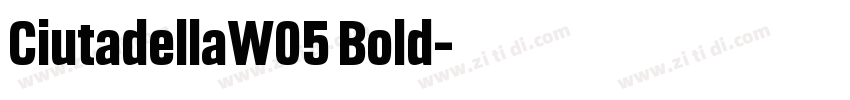 CiutadellaW05 Bold字体转换
